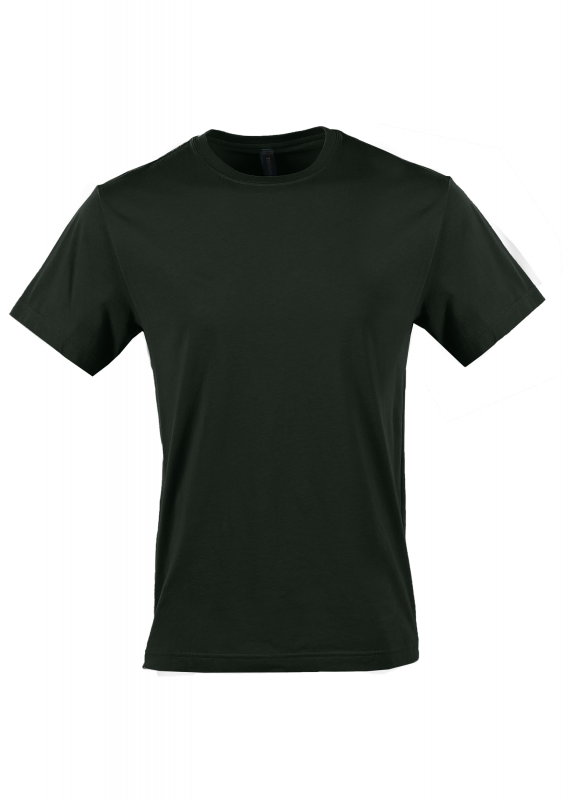 Standard Custom T-Shirts, bulk orders, Family Reunion, company, military, Business Shirts.